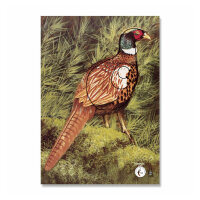 Bersaglio | immagine di animali - fagiano