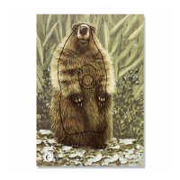 Bersaglio | Immagine di animali - marmotta