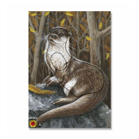 Bersaglio | immagine di animali - lontra