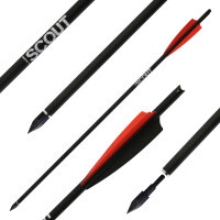 Dardo balestra da caccia | X-BOW FMA Scout - Bodkin -...