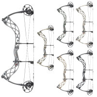 Arco compound BOWTECH Carbon Zion