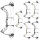 Arco compound BOWTECH Carbon Zion