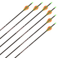 Freccia completa SKYLON Quantic - Carbonio 3K - Opere di...