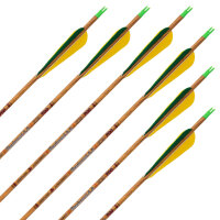 Freccia completa | SKYLON Bentwood - Carbonio - Opere di ex piumato - Confezione da 12