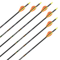 Komplettpfeil | SKYLON Edge - Carbon - ab Werk befiedert - 12er Pack