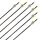 Komplettpfeil | SKYLON Edge - Carbon - ab Werk befiedert - 12er Pack