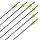 Komplettpfeil | SKYLON Edge - Carbon - ab Werk befiedert - 12er Pack