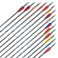 Freccia completa | Raggio SKYLON - Carbonio - Opere di ex...