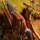 DRAKE ARCHERY ELITE Dark Phoenix - 60 pollici - 30-50 lbs - Arco a ricurvo Take Down