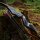 DRAKE ARCHERY ELITE Blue Royal - 60 pollici - 20-60 lbs - Arco a ricurvo da abbattere