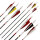 Freccia completa | Serie speciale BSW - D/A/CH - Carbonio