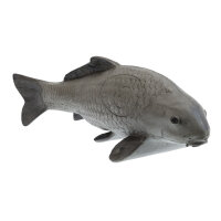 Carpa FRANZBOGEN