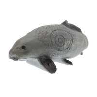 Carpa FRANZBOGEN