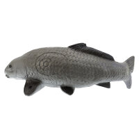 Carpa FRANZBOGEN