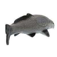 Carpa FRANZBOGEN