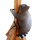 Procione LEITOLD - arrampicata - con imbracatura