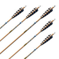 Freccia completa | GOLD TIP Traditional XT - Carbonio