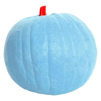 Zucca indaco IBB 3D - Pandora