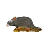 Ratto grigio InForm 3D