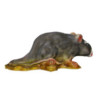 Ratto grigio InForm 3D