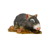 Ratto grigio InForm 3D