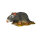 Ratto grigio InForm 3D