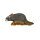 Ratto grigio InForm 3D