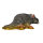 Ratto grigio InForm 3D
