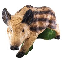 IBB 3D Matricola