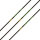 Asta | GOLD TIP Velocity XT - Carbonio