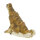 InForm 3D Tarex | piccolo