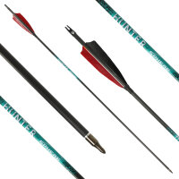 26-30 lbs | [CONSIGLIO DI PREZZO] Freccia di carbonio |...
