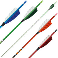Freccia completa | SPIDERBOWS Raven.One KevTech - 4,2mm -...