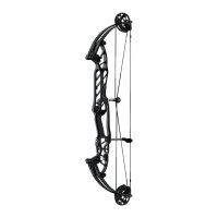 HOYT Stratos 36 HBT - 40-70 lbs - Arco compound