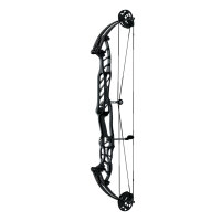 HOYT Stratos 36 SVX - 40-70 lbs - Arco compound