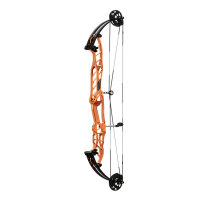 HOYT Stratos 36 SVX - 40-70 lbs - Arco compound