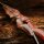 Riser | SPIDERBOWS - Hawk - SWS - 15-21 pollici