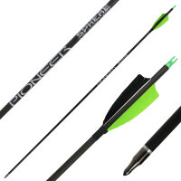 31-35 lbs | SPHERE Pioneer 6.2 - Carbon - piume naturali...