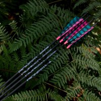 Freccia completa | SPHERE Pioneer 4.2 - Carbonio