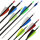 Freccia completa | SPHERE Pioneer 4.2 - Carbonio