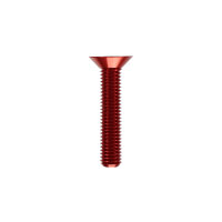 BSW vite a testa svasata 8x40 - vari colori