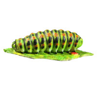 Bruco InForm 3D - diversi colori