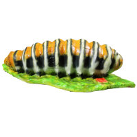Bruco InForm 3D - diversi colori
