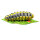 Bruco InForm 3D - diversi colori