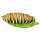 Bruco InForm 3D - diversi colori