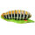 Bruco InForm 3D - diversi colori