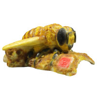 Ape InForm 3D