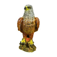 Aquilone rosso InForm 3D