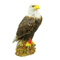 Aquila calva InForm 3D