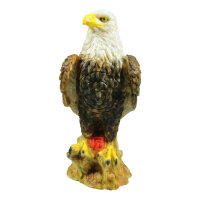 Aquila calva InForm 3D